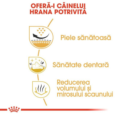 Royal Canin Shih Tzu Adult – Hrană Uscată pentru Câini Adulți din Rasa Shih Tzu – 1,5 kg